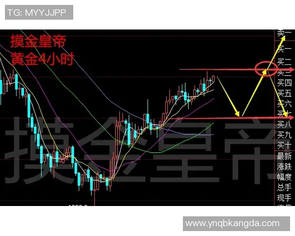 独家分析：TES的配合对比